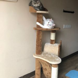 韩国中国最漂亮最漂亮最漂亮的美女刺激黄色网
